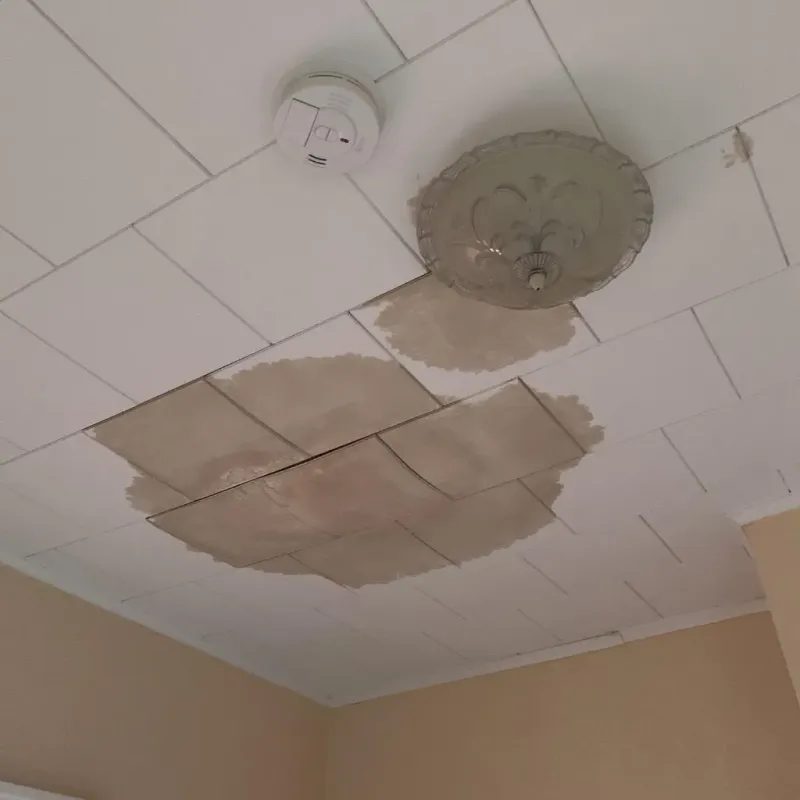 Ceiling Water Damage Repair in Hannahs Mill, GA