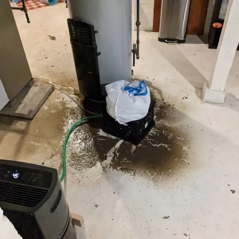 Sewage Backup Cleanup Service in Hannahs Mill, GA